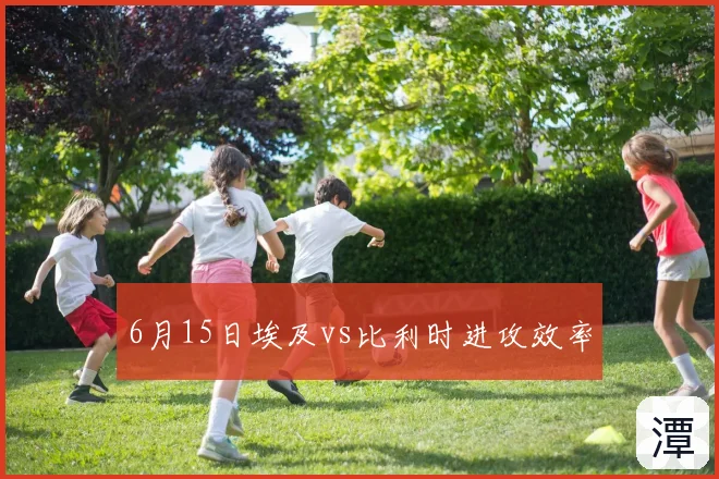6月15日埃及vs比利时进攻效率